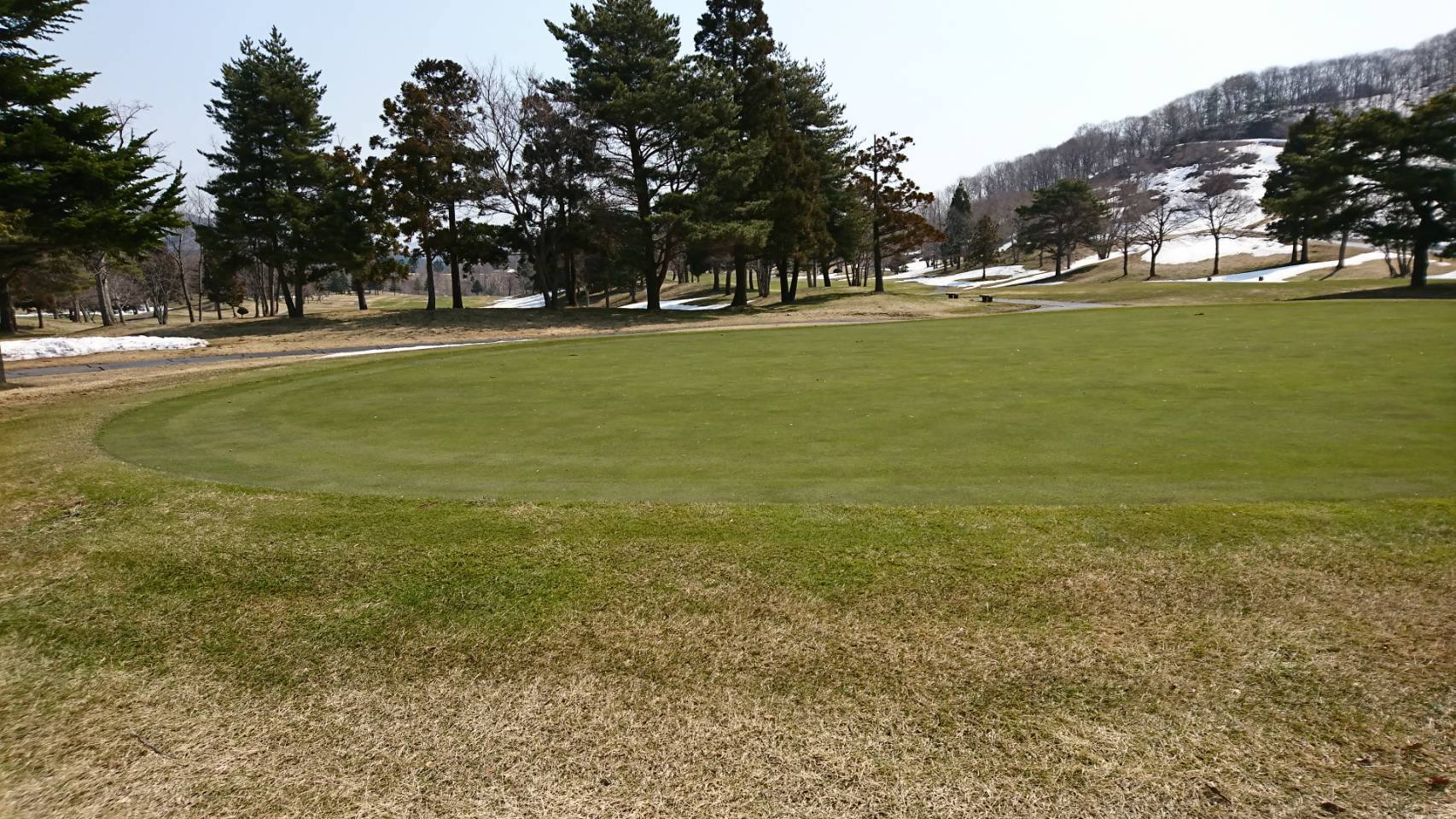 b0150120_19264399.jpg