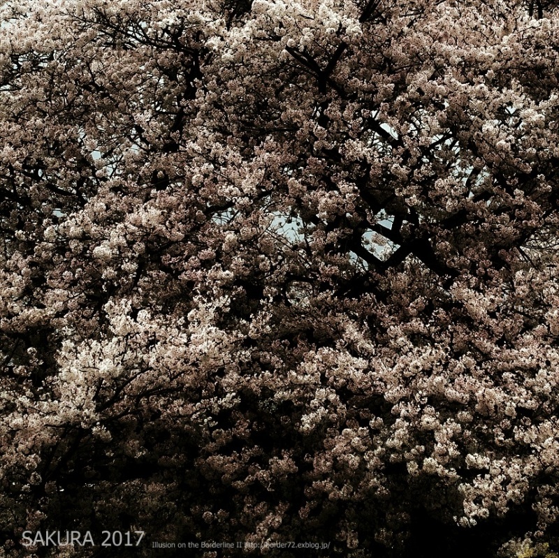 d0351122_00172245.jpg
