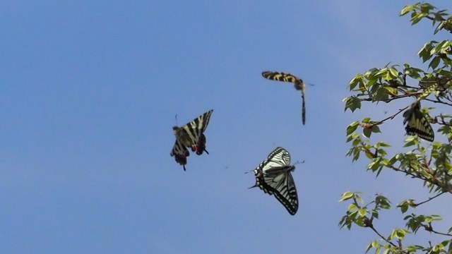 c0369423_19543433.jpg