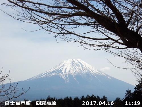e0033229_20425.jpg