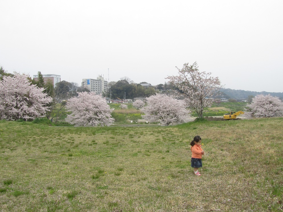 e0137130_22555166.jpg