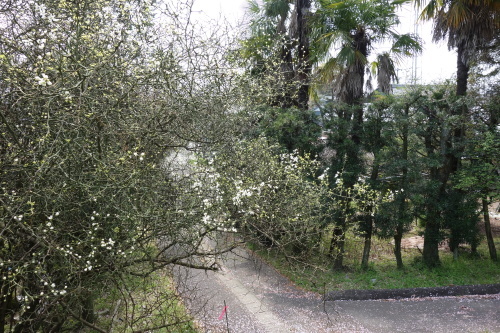f0375039_08005256.jpg