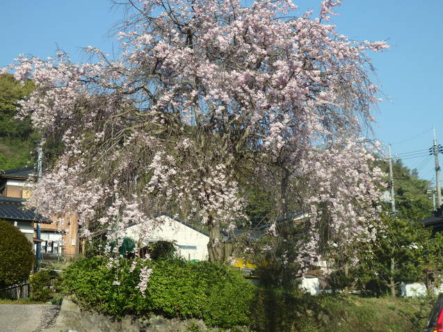 a0054240_17332346.jpg