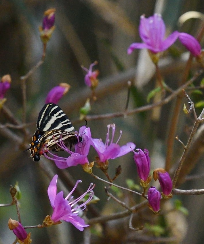 d0285540_07531001.jpg