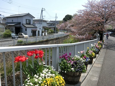 b0120541_14004064.jpg