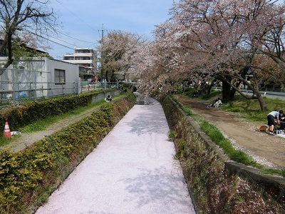 b0120541_14100938.jpg