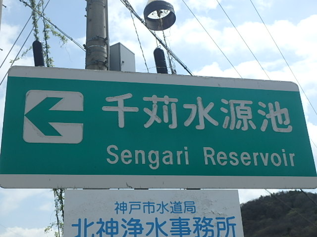 f0334143_7314144.jpg