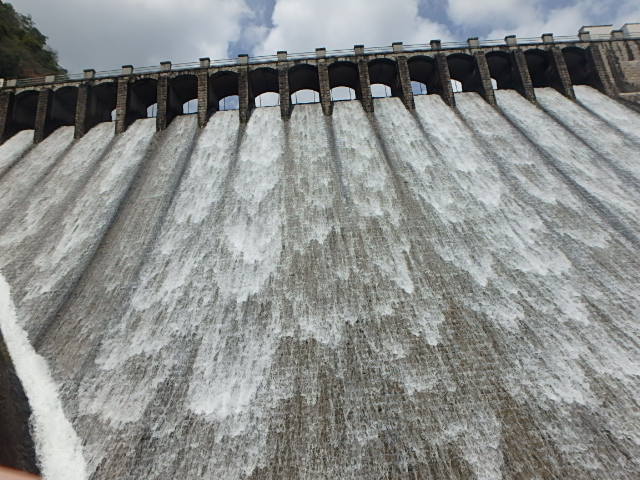 f0334143_735327.jpg