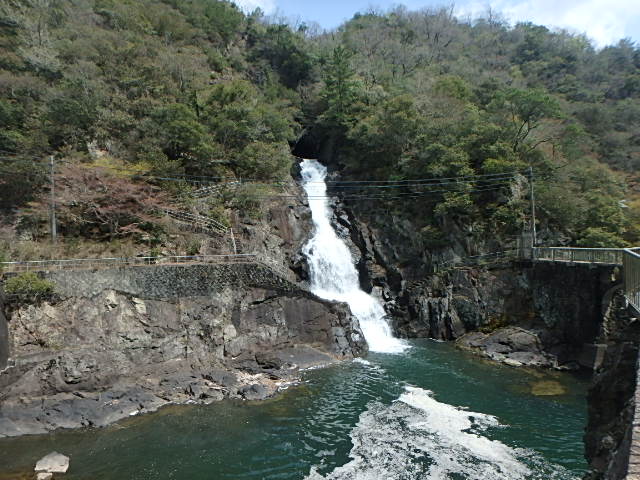 f0334143_735854.jpg