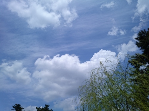 f0326946_17241325.jpg