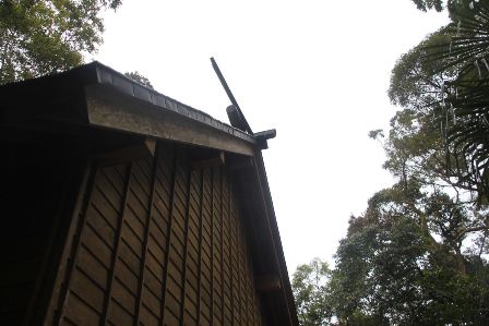 c0011649_4524153.jpg