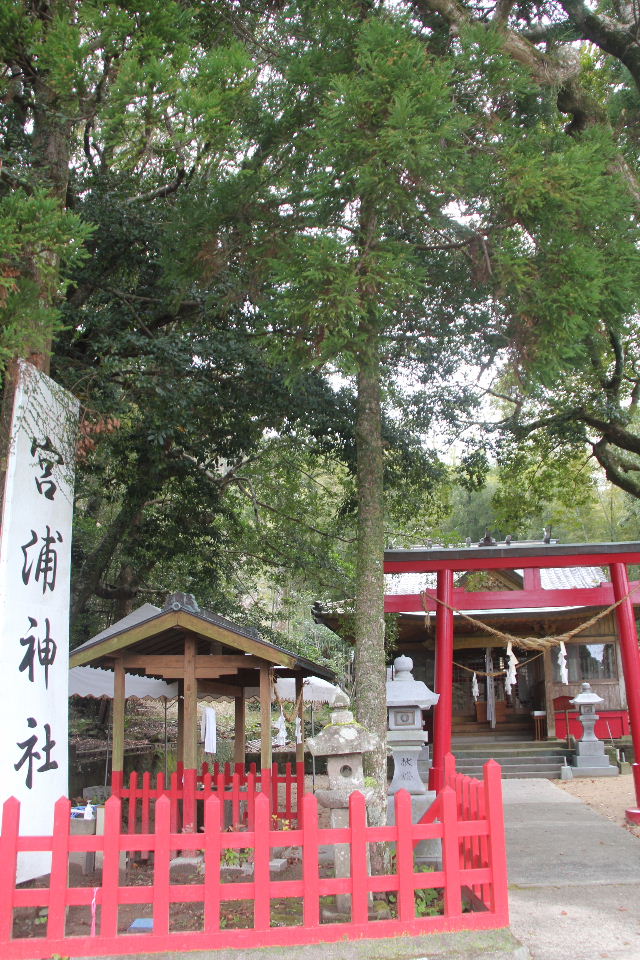 c0011649_5165651.jpg