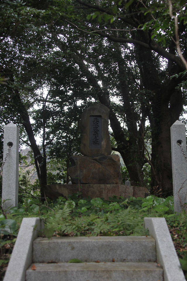 c0011649_5444956.jpg