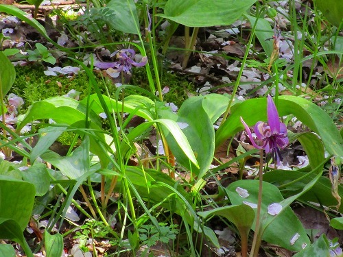 c0327752_11114118.jpg