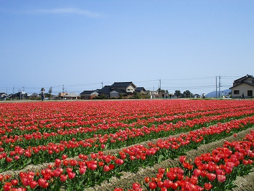 c0327752_15084375.jpg