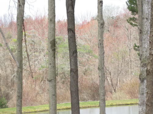 b0247153_09062370.jpg