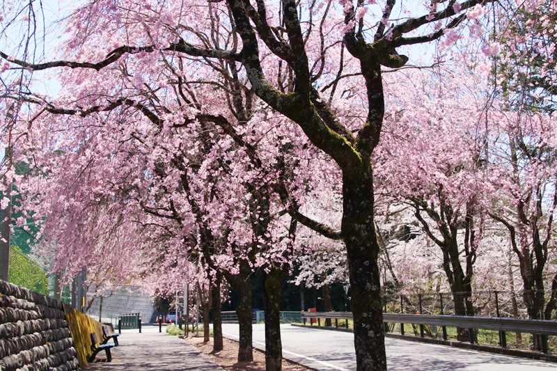 a0167759_1203332.jpg