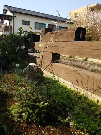 c0172261_21033207.jpg