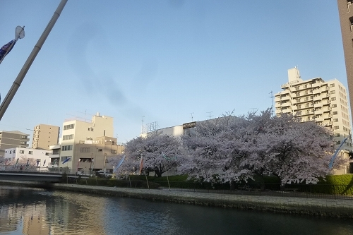 c0338262_23044448.jpg