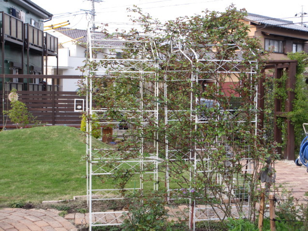 a0243064_10481039.jpg