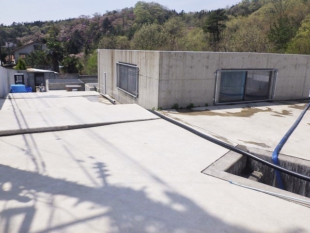 c0105569_01022457.jpg