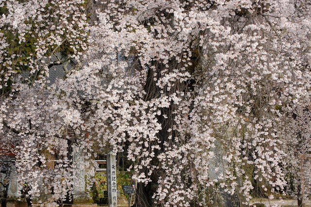 d0172270_16514370.jpg