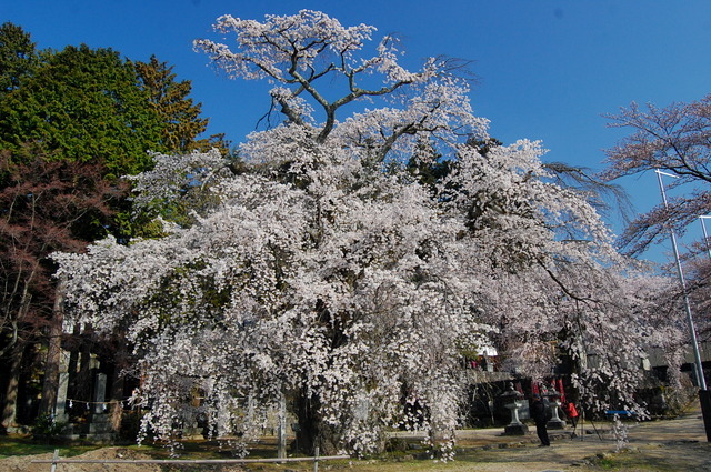 d0172270_16594861.jpg