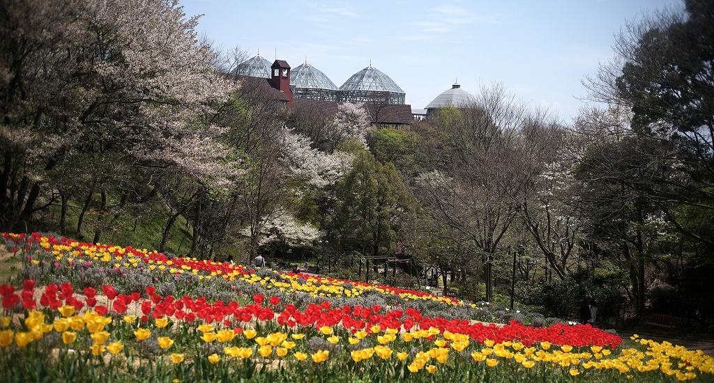 c0362972_17540231.jpg