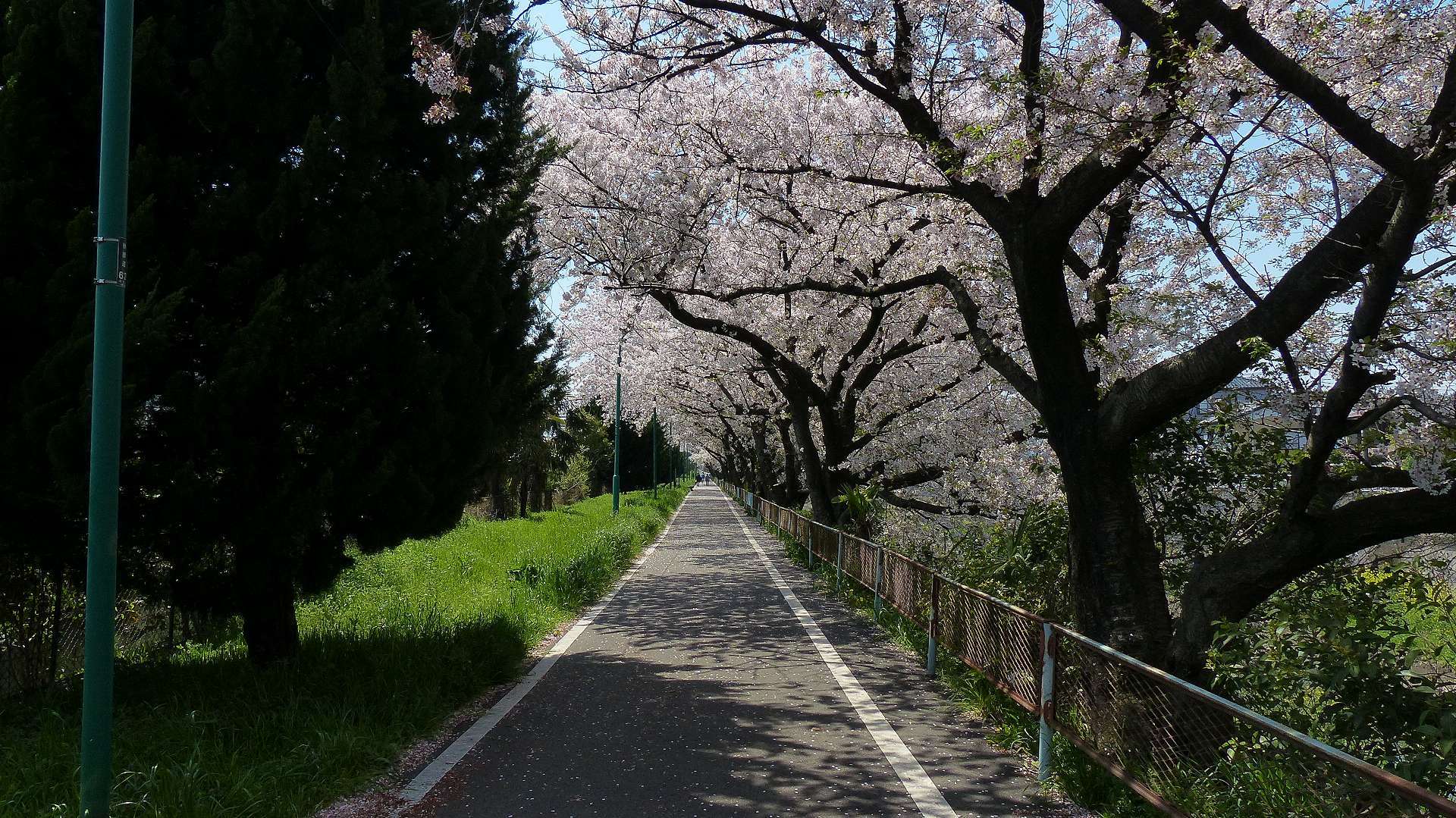 a0185081_09314755.jpg