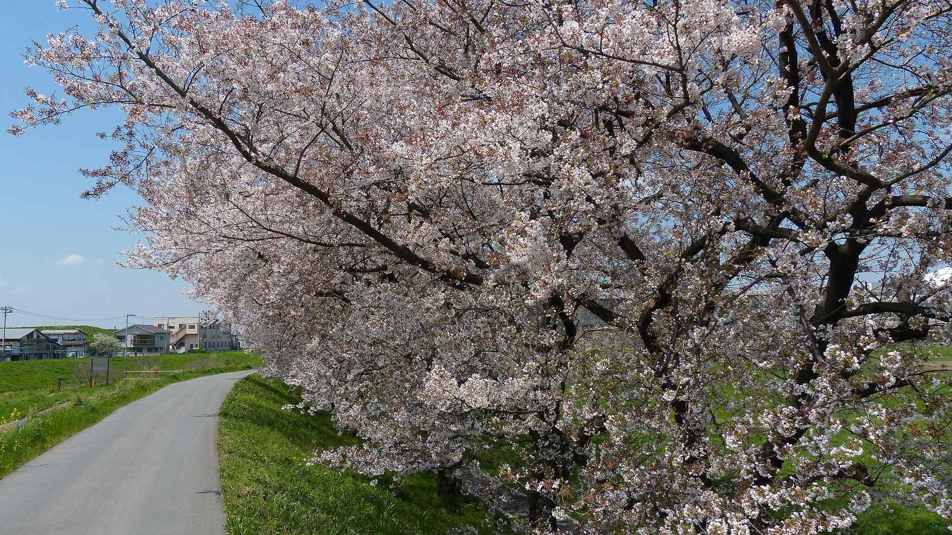 a0185081_09340263.jpg
