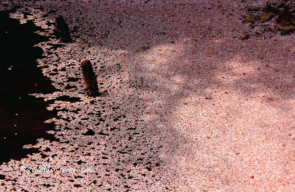c0357781_11152870.jpg