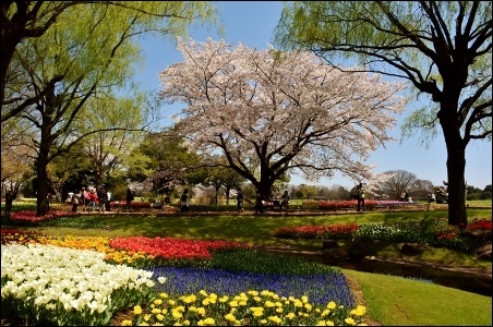 a0133484_13291437.jpg