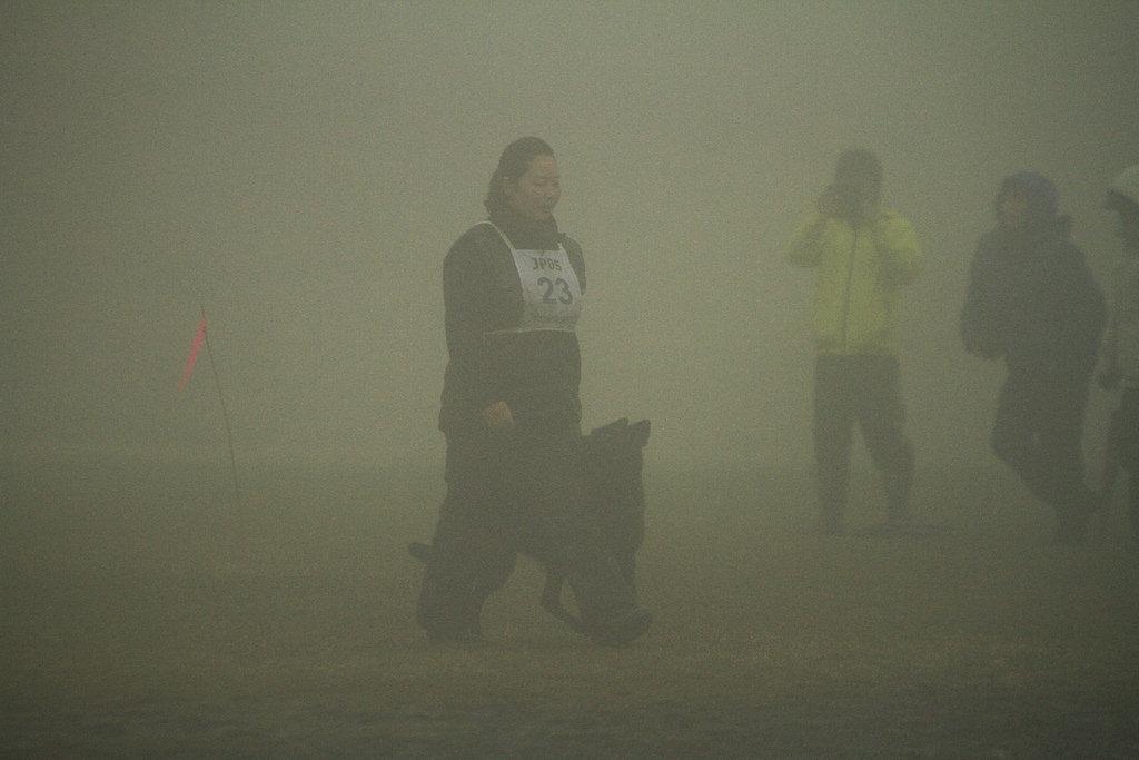 e0100584_01475140.jpg