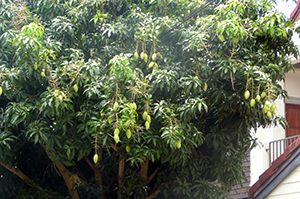 f0144385_13562236.jpg
