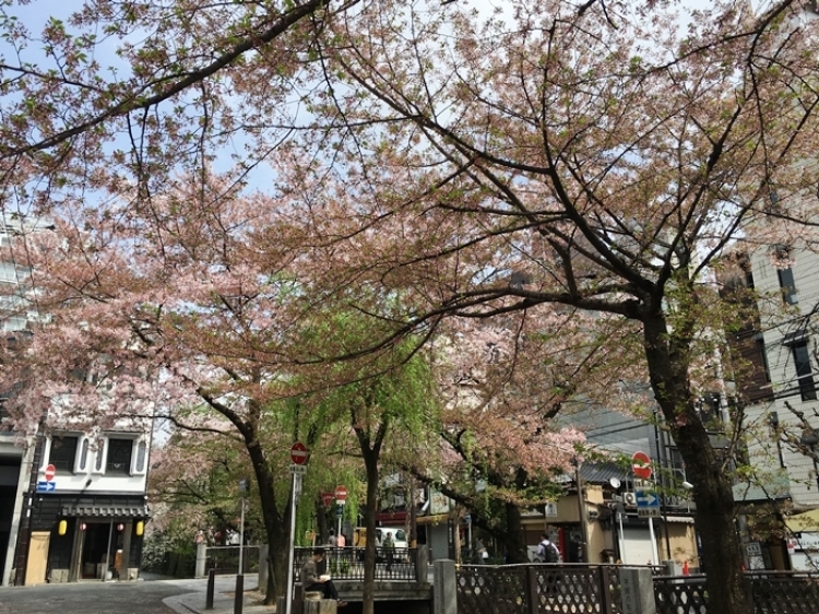 f0377688_09222722.jpg