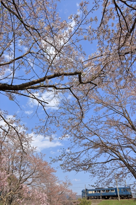 a0335890_12143883.jpg