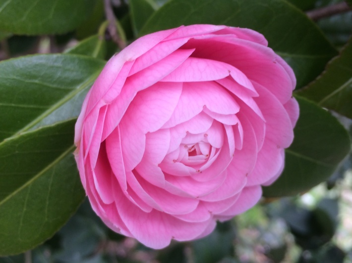 f0201297_19495895.jpg