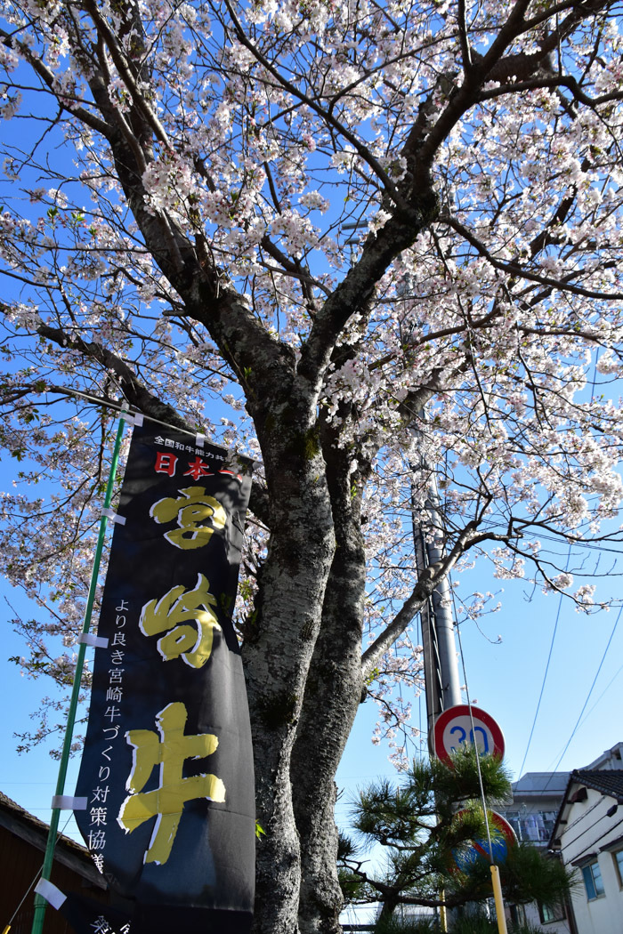 c0049299_22281451.jpg