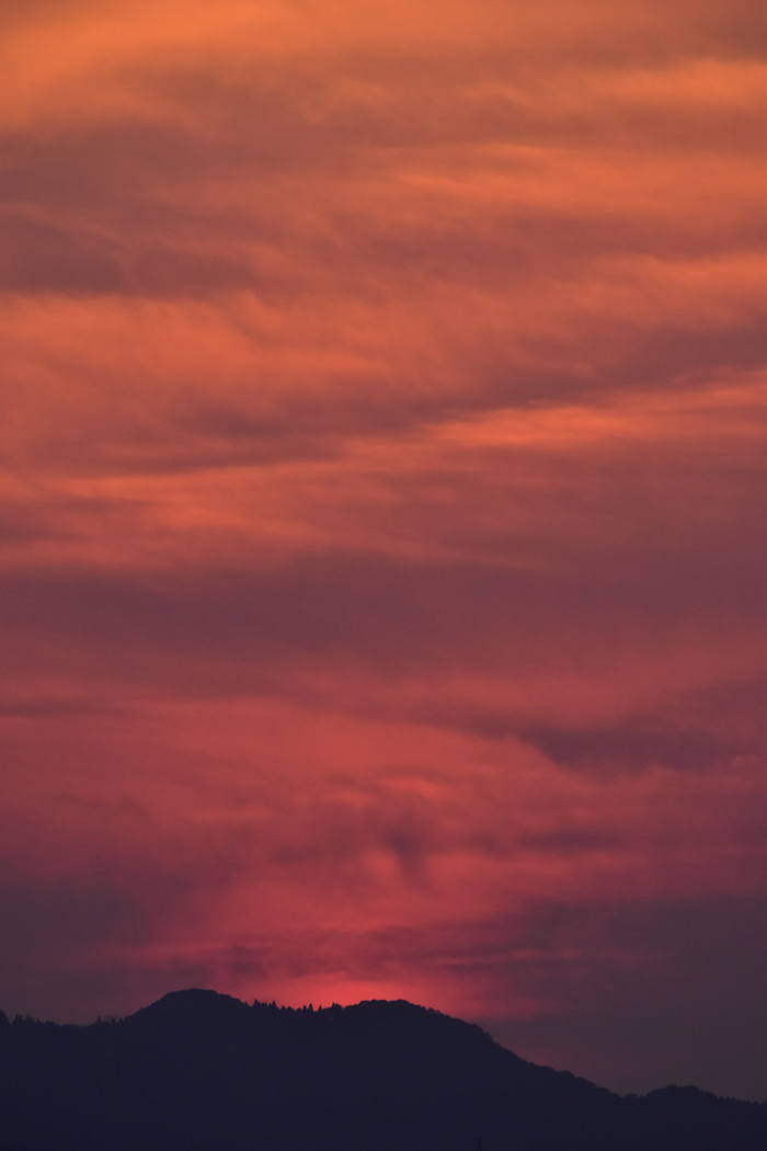 c0049299_22442158.jpg