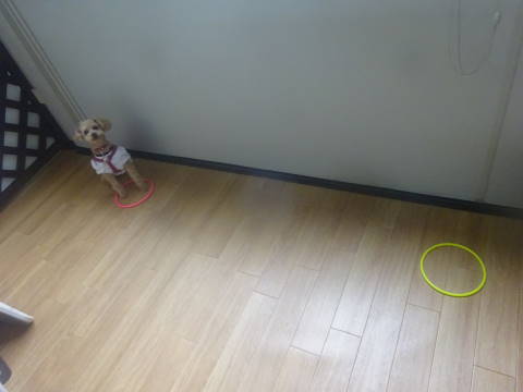 a0338800_17271768.jpg