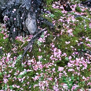 b0190100_13030140.jpg