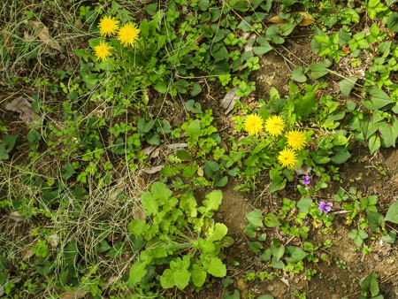 f0239100_00242594.jpg