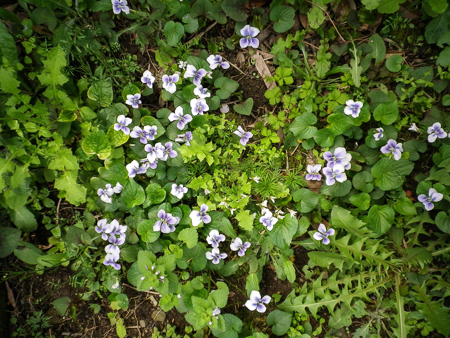f0239100_00263160.jpg