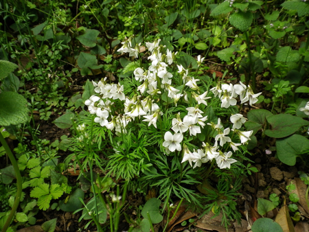 f0239100_00295251.jpg