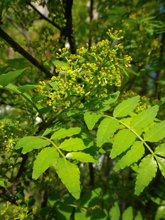 f0239100_00334379.jpg