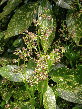 f0239100_00351692.jpg
