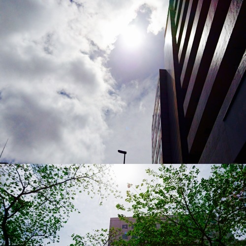 c0202101_17232034.jpg