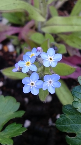 e0351303_22063815.jpg