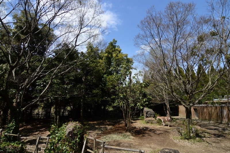 a0164204_12425617.jpg