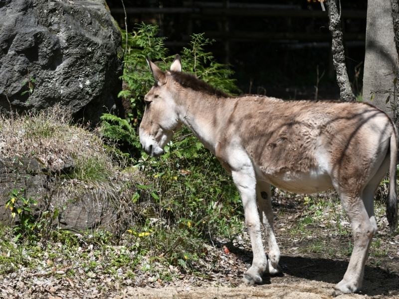 a0164204_12425649.jpg